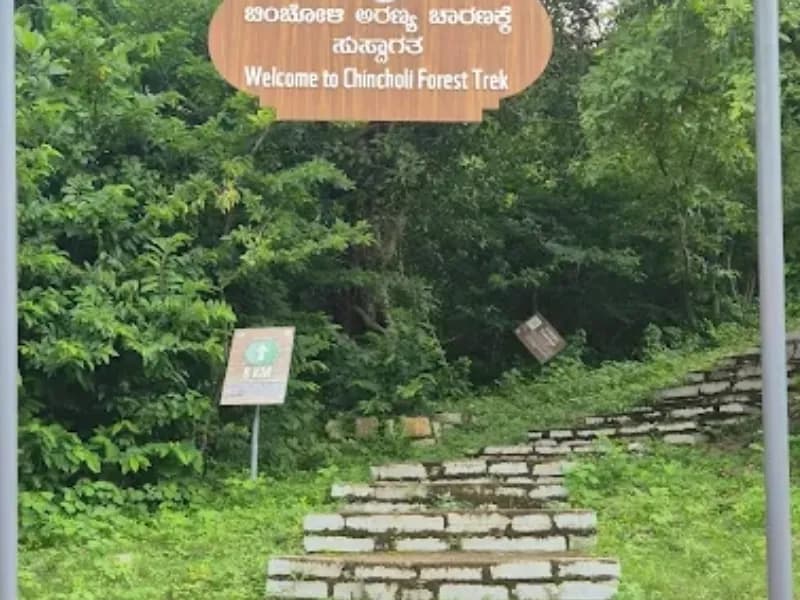 Chincholi Forest Trek